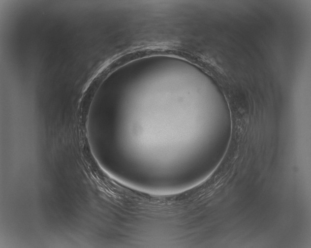 X0000056361256200508291335