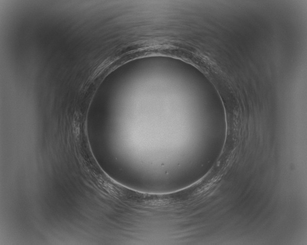 X0000056361257200508291335