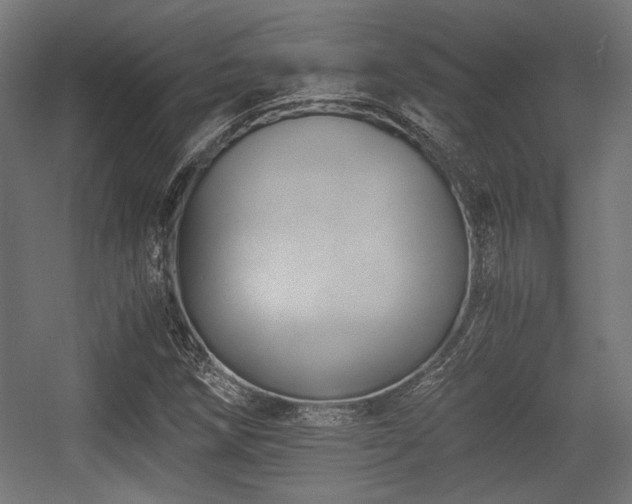 X0000056361258200508291335