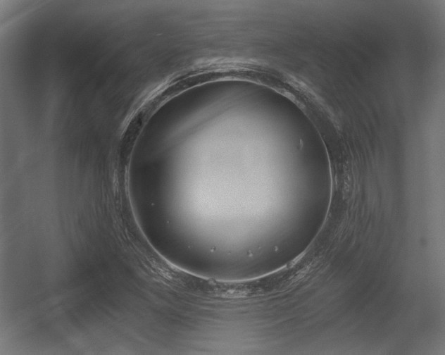 X0000056361261200508291335
