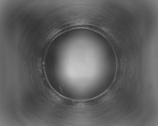 X0000056361265200508291335