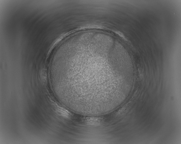 X0000056361266200508291335