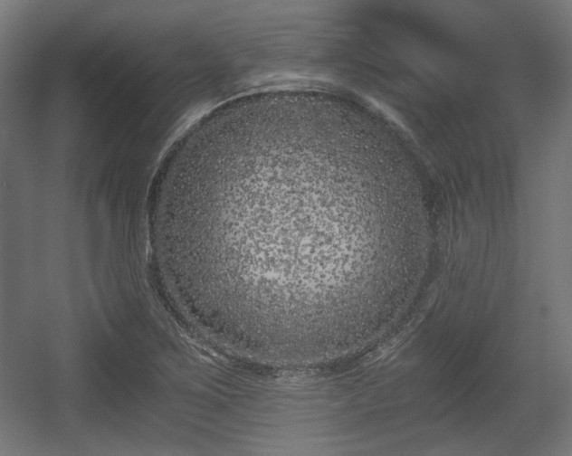 X0000056361267200508291335