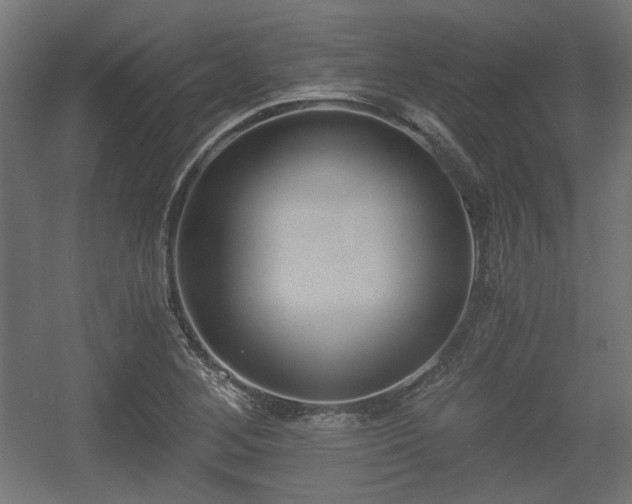 X0000056361268200508291335