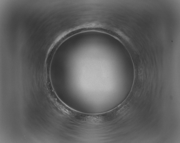 X0000056361270200508291335