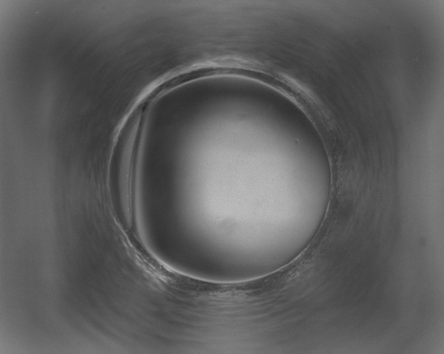 X0000056361272200508291335