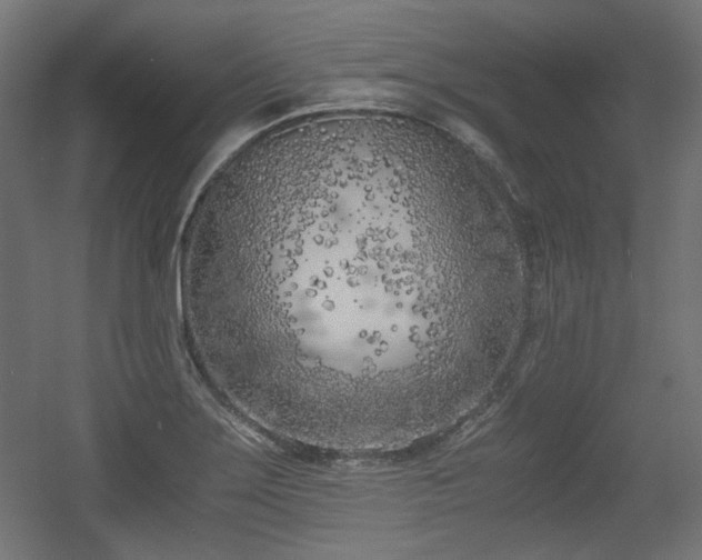 X0000056361275200508291335