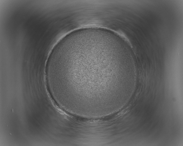 X0000056361279200508291335