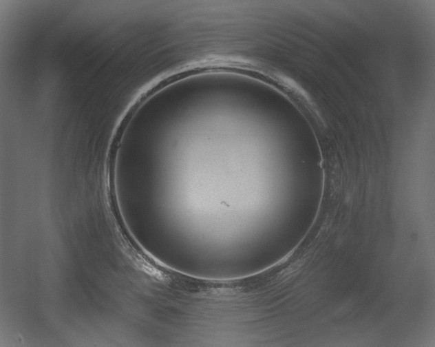 X0000056361280200508291335