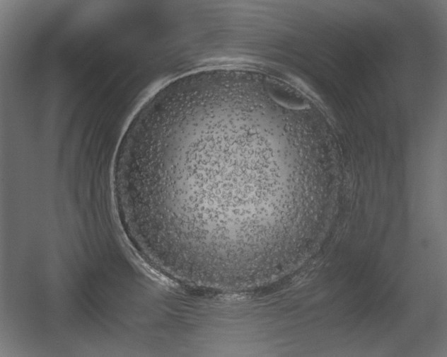 X0000056361283200508291335