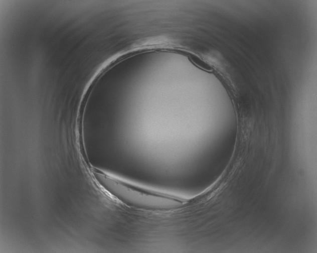 X0000056361288200508291335