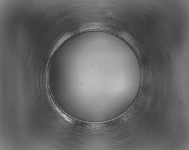 X0000056361290200508291335