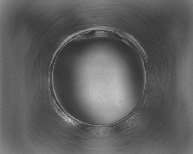 X0000056361292200508291334