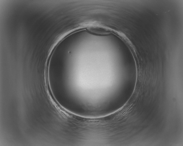 X0000056361295200508291334