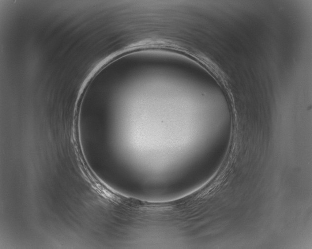X0000056361296200508291334