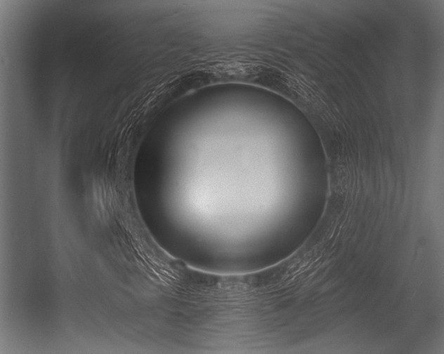 X0000056361297200508291334