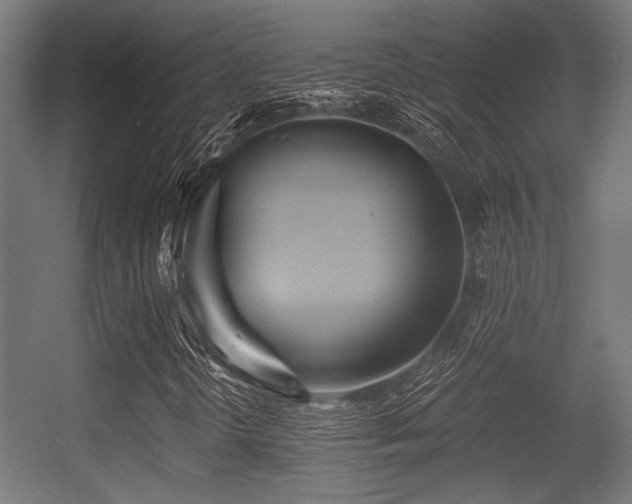 X0000056361298200508291334