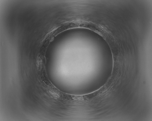 X0000056361302200508291334