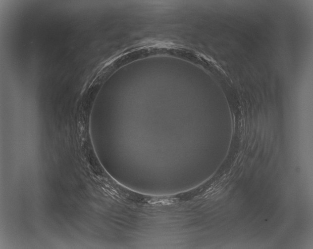 X0000056361303200508291334