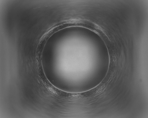 X0000056361304200508291334