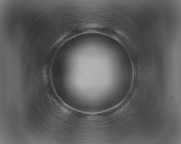 X0000056361305200508291334