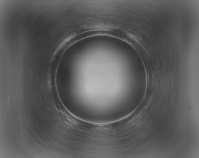X0000056361307200508291334