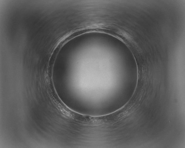 X0000056361308200508291334