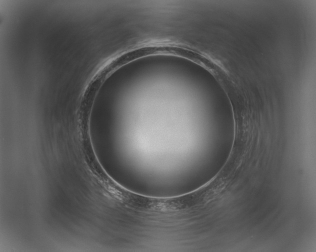 X0000056361311200508291334