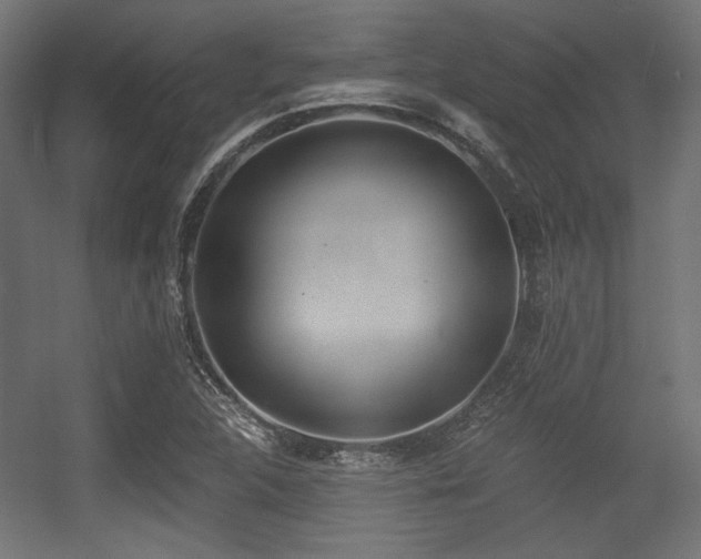 X0000056361312200508291334