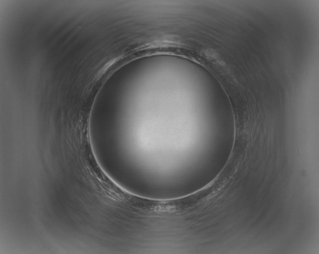 X0000056361313200508291334