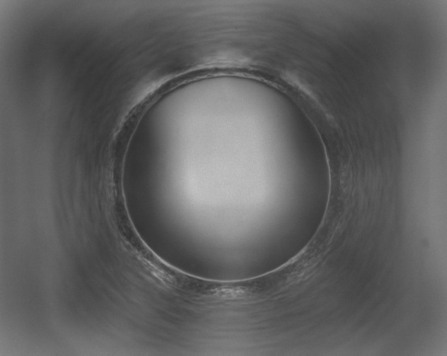 X0000056361315200508291334