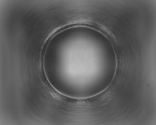 X0000056361316200508291334