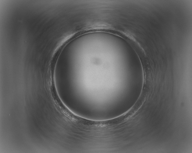 X0000056361317200508291334