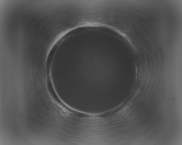 X0000056361319200508291334