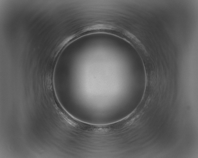 X0000056361321200508291334