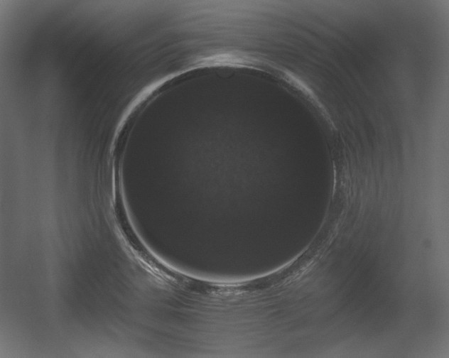 X0000056361323200508291334