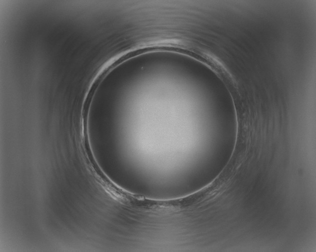 X0000056361324200508291334