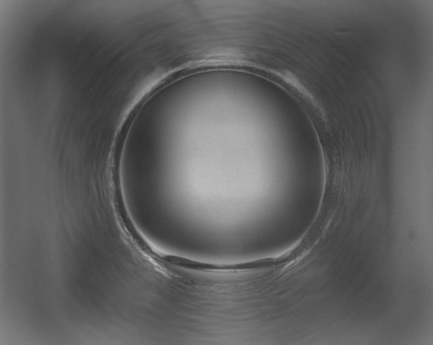 X0000056361325200508291334