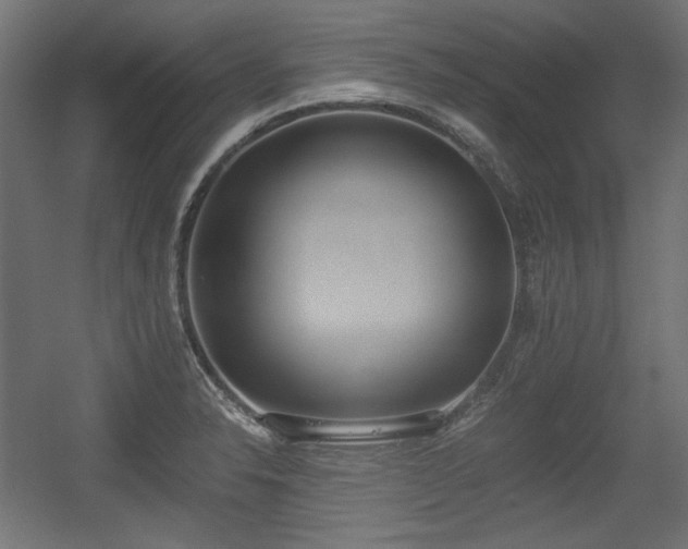 X0000056361326200508291334