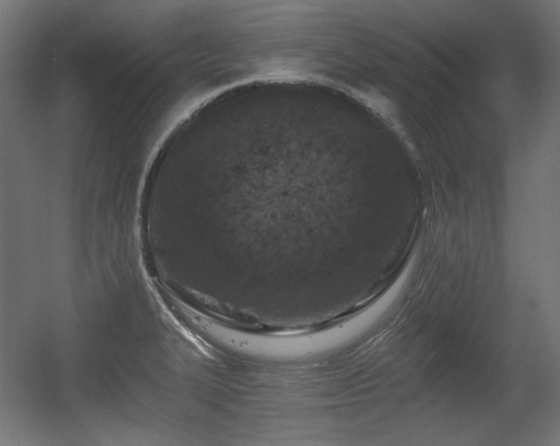 X0000056361327200508291334