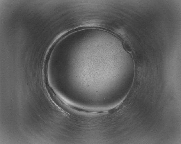 X0000056361331200508291334