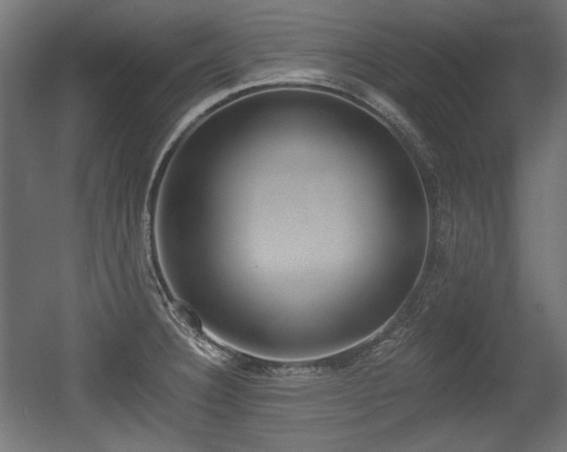 X0000056361332200508291334