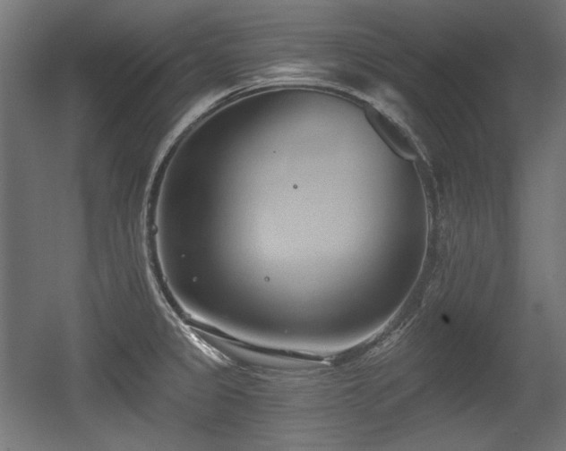 X0000056361333200508291334