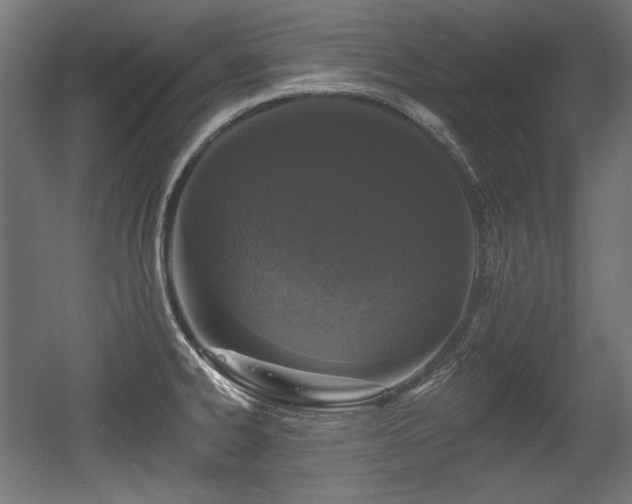 X0000056361334200508291334