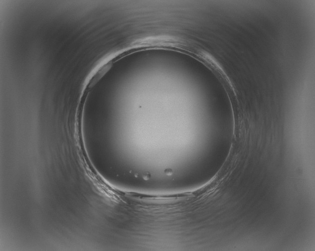 X0000056361336200508291334