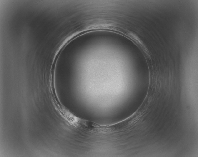 X0000056361340200508291334