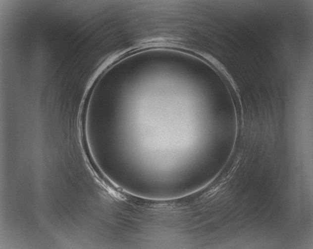 X0000056361341200508291334