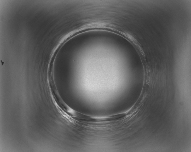 X0000056361342200508291334