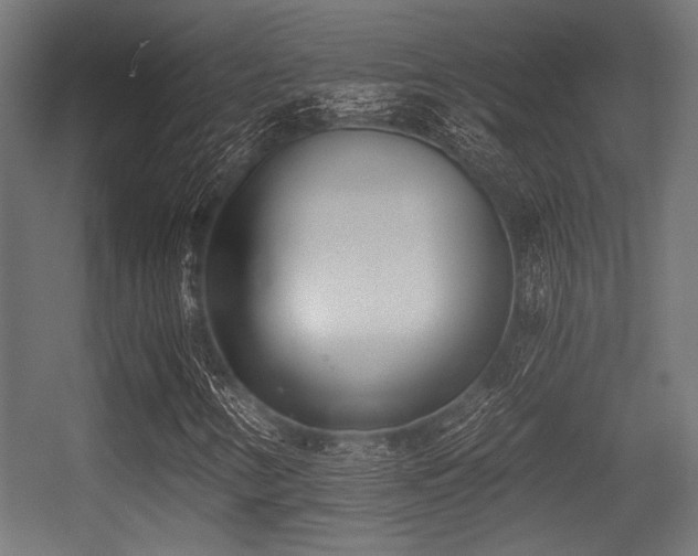 X0000056361346200508291334