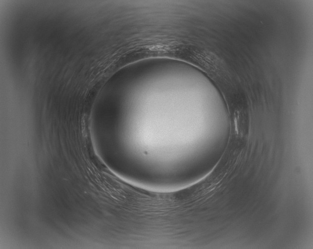 X0000056361347200508291334